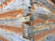Close-up of a log cabin corner highlighting the precise joinery and warm wood tones.