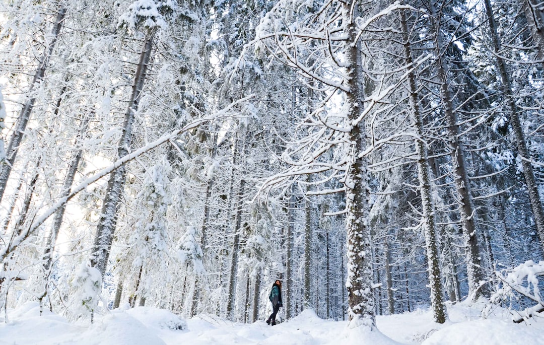 Forest photo spot Jyväskylä Keuruu