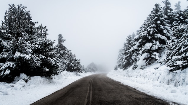 black concrete pathway surrounded by snow covered trees during daytime