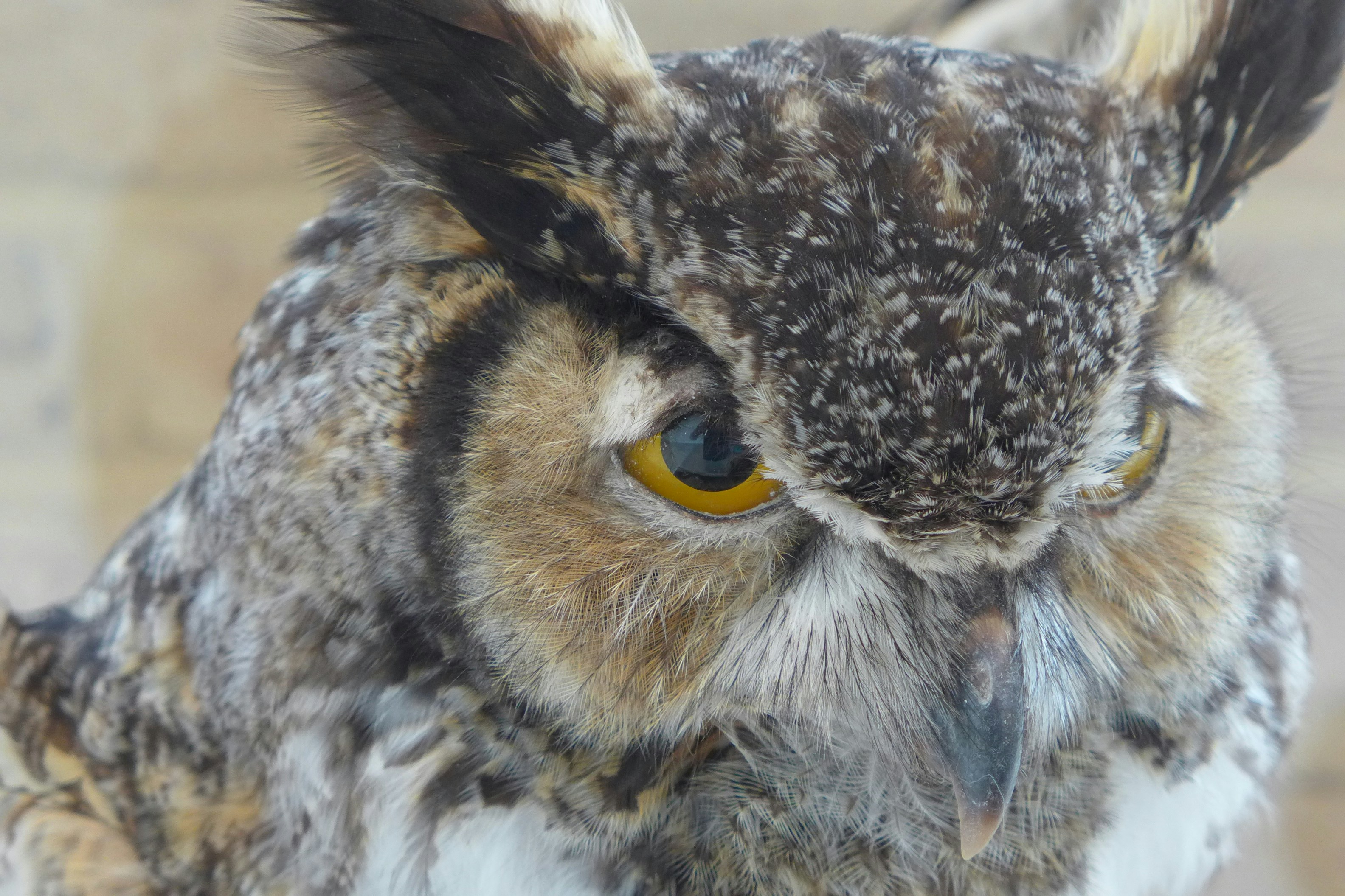 Free Unsplash photo from Mike Sweeney