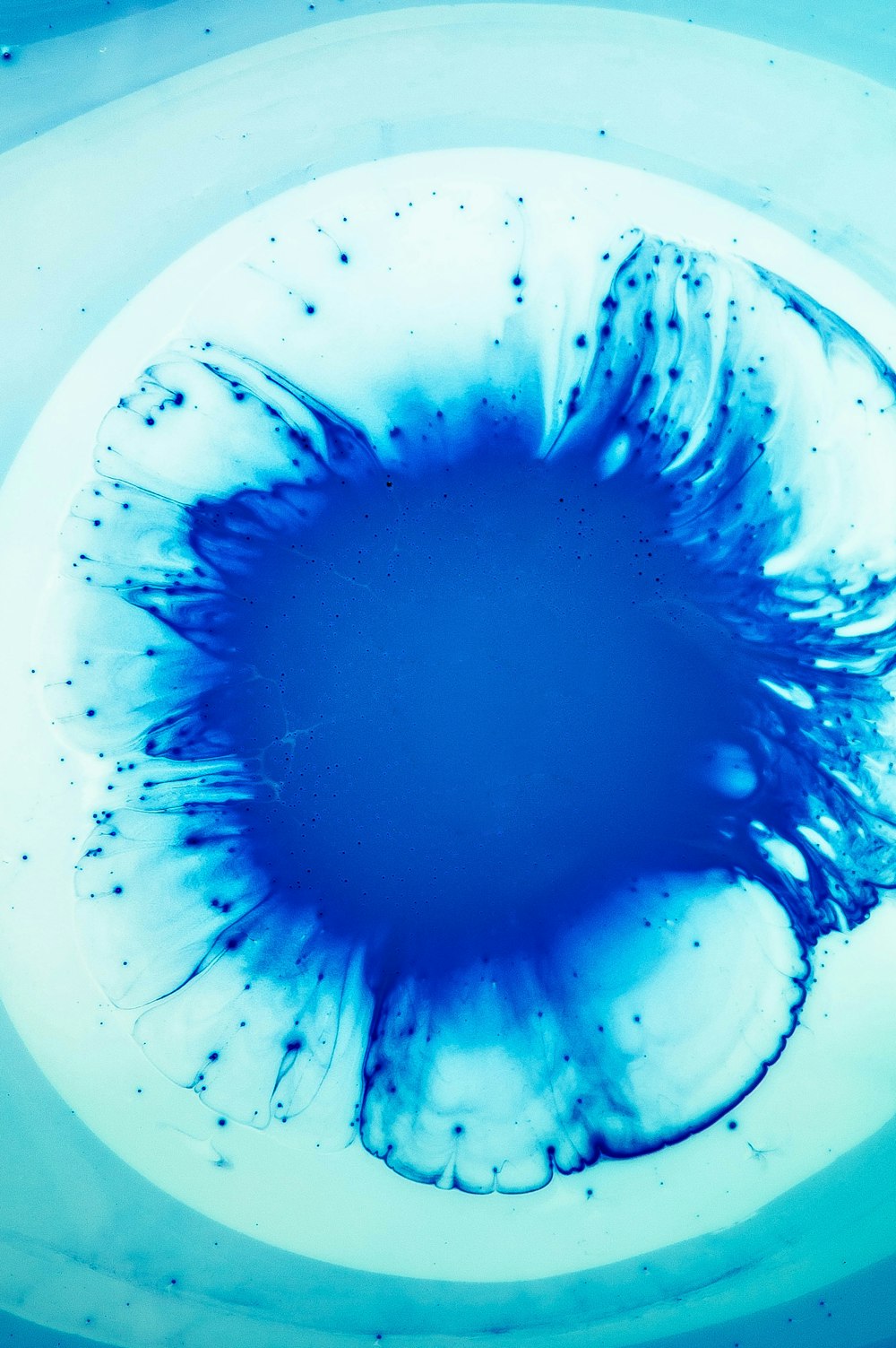 una sustancia azul flotando en un recipiente con agua
