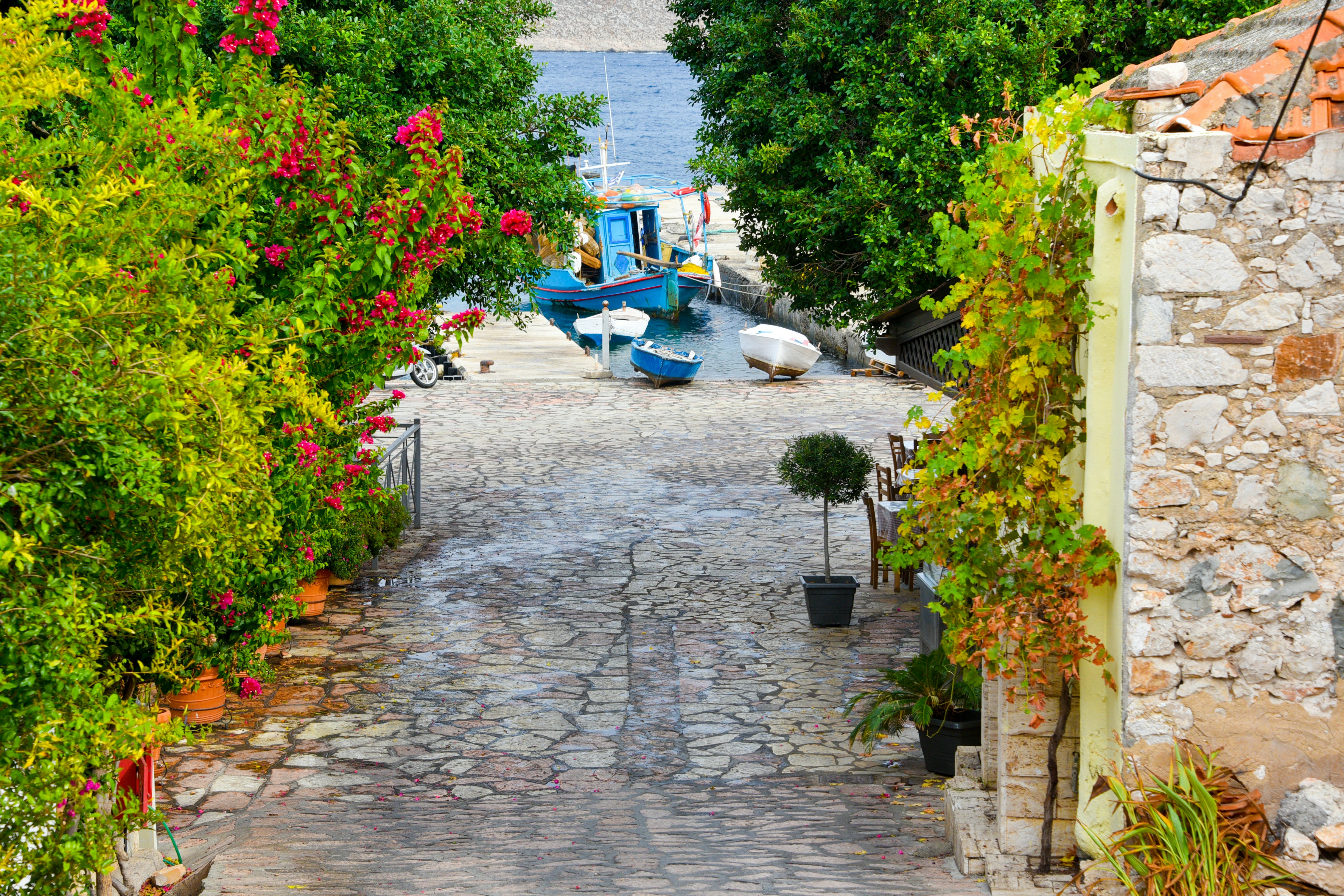 Free Unsplash photo from Pradyot Rai