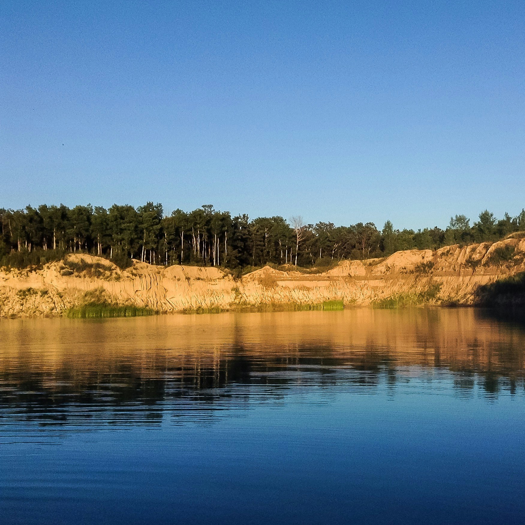 Free Unsplash photo from Adrian Waldner