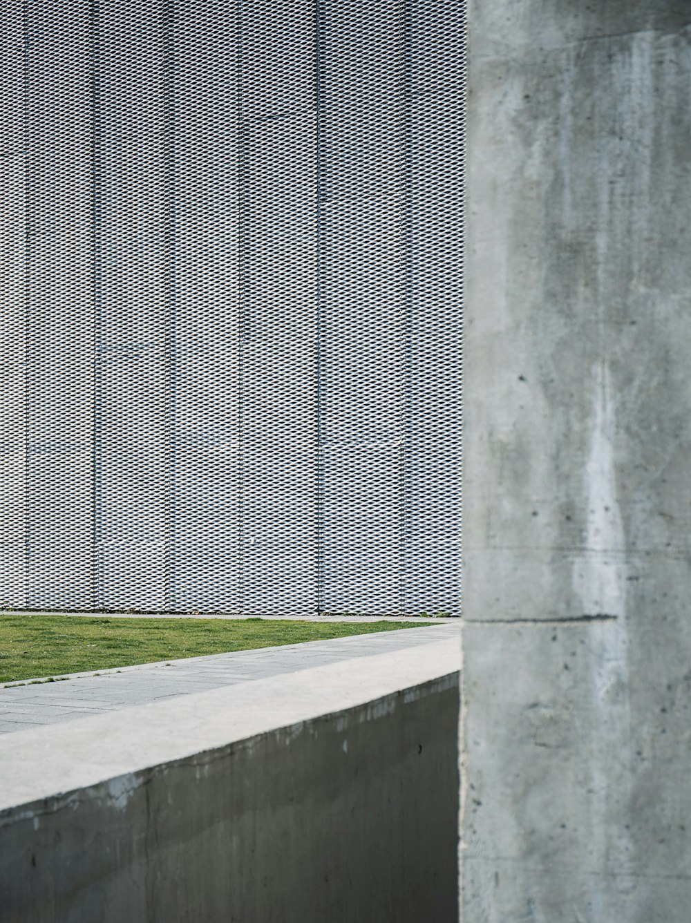 parede de concreto verde