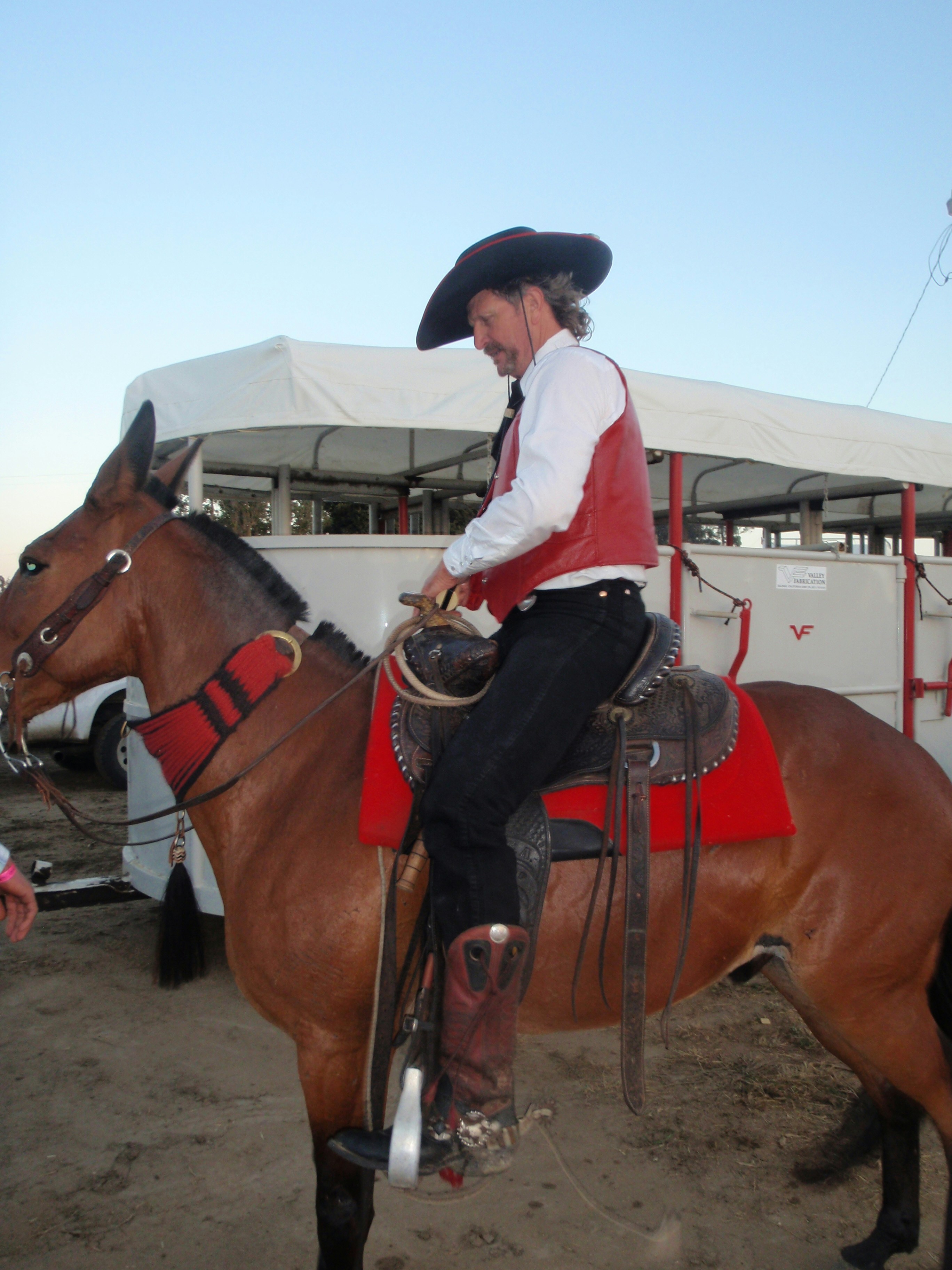 Free Unsplash photo from Joele Robinson