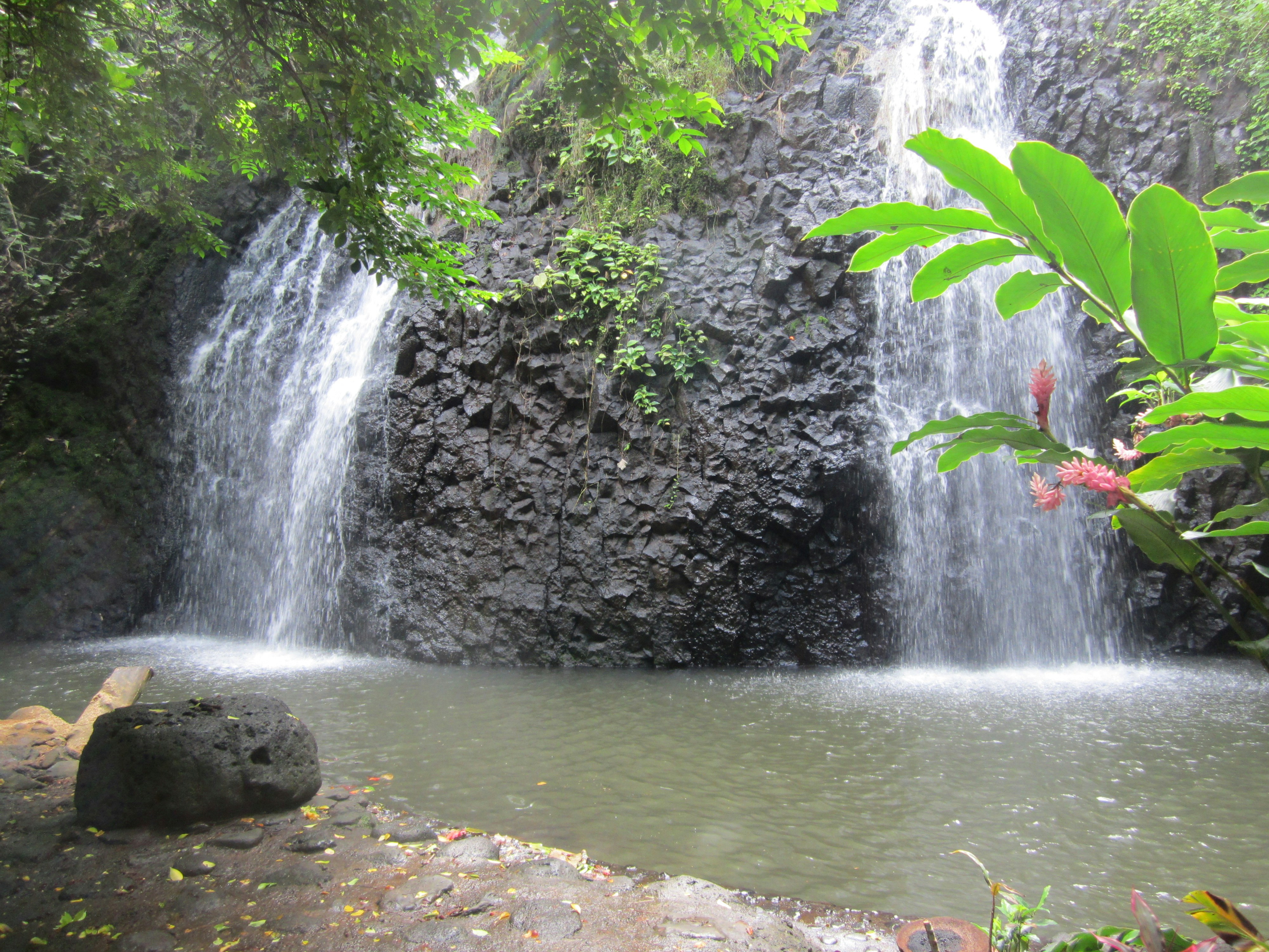 Free Unsplash photo from Joele Robinson