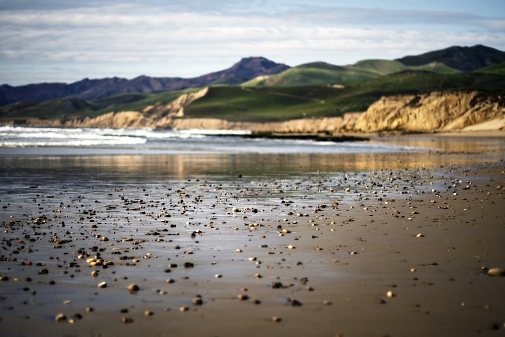 rocks on seashore