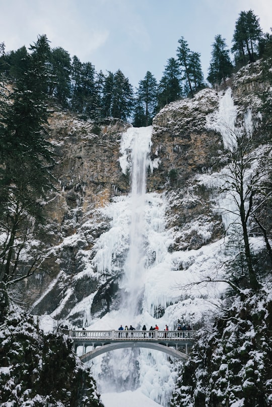 people walking on bridge beside frosted waterfalls during daytime in Multnomah Falls United States