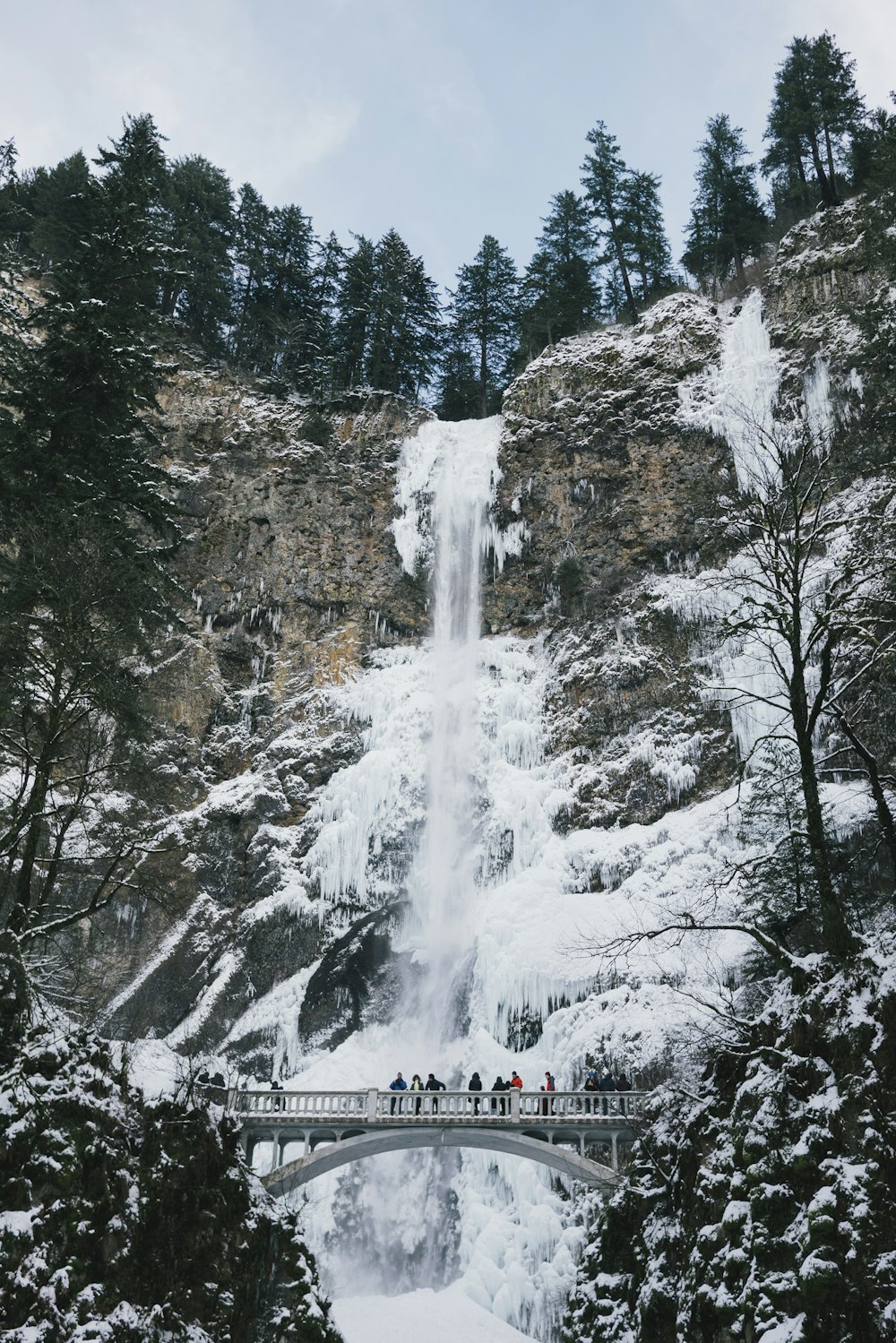 people walking on bridge beside frosted waterfalls during daytime