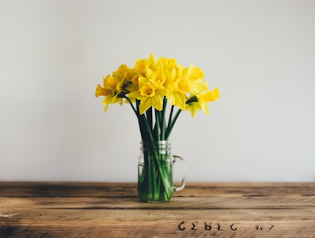 spring cleaning flowers vase