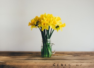 yellow petal flower on clear glass vase