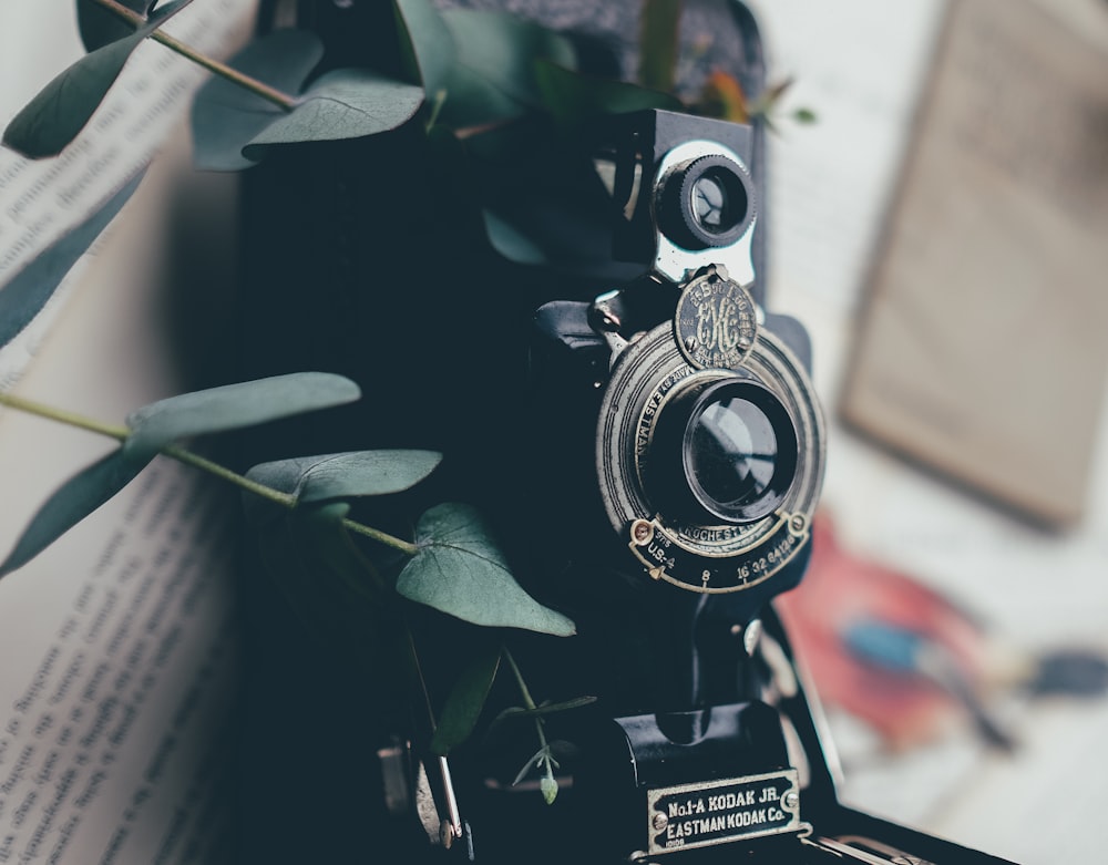 black camera beside green leafed plant