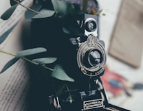 A vintage Kodak camera with intricate detailing is placed on open pages of a book. Eucalyptus leaves are woven around the camera, adding a natural element to the scene. The background is softly blurred, emphasizing the focus on the camera.