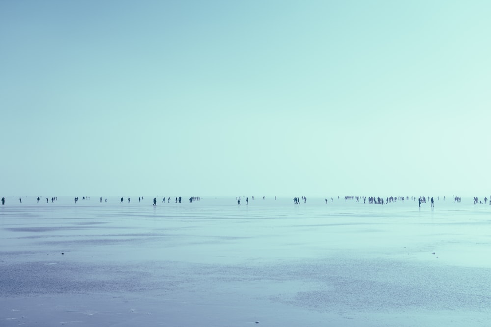 Menschen, die tagsüber an der Küste über dem Horizont spazieren gehen