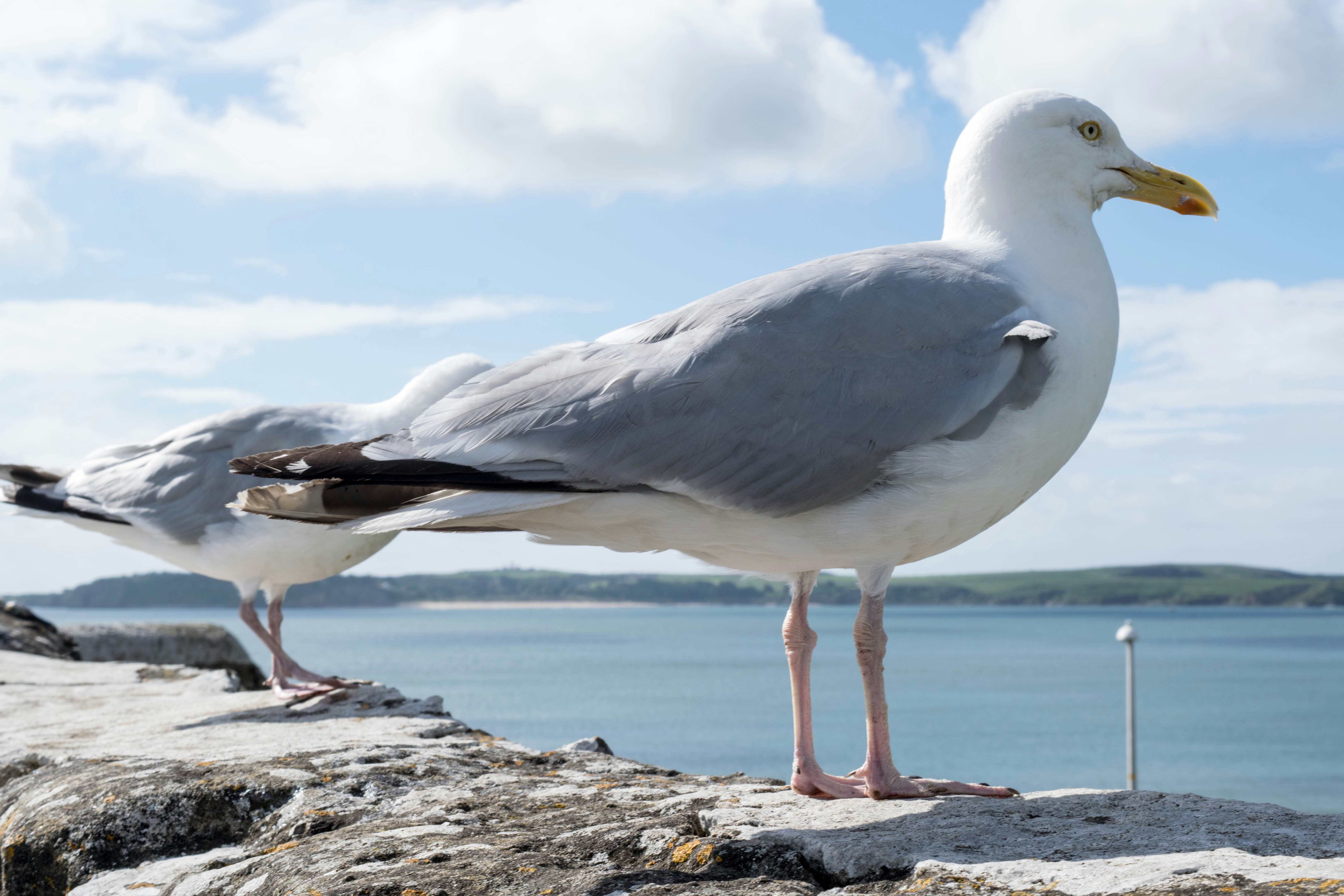 Free Unsplash photo from Matthieu Comoy