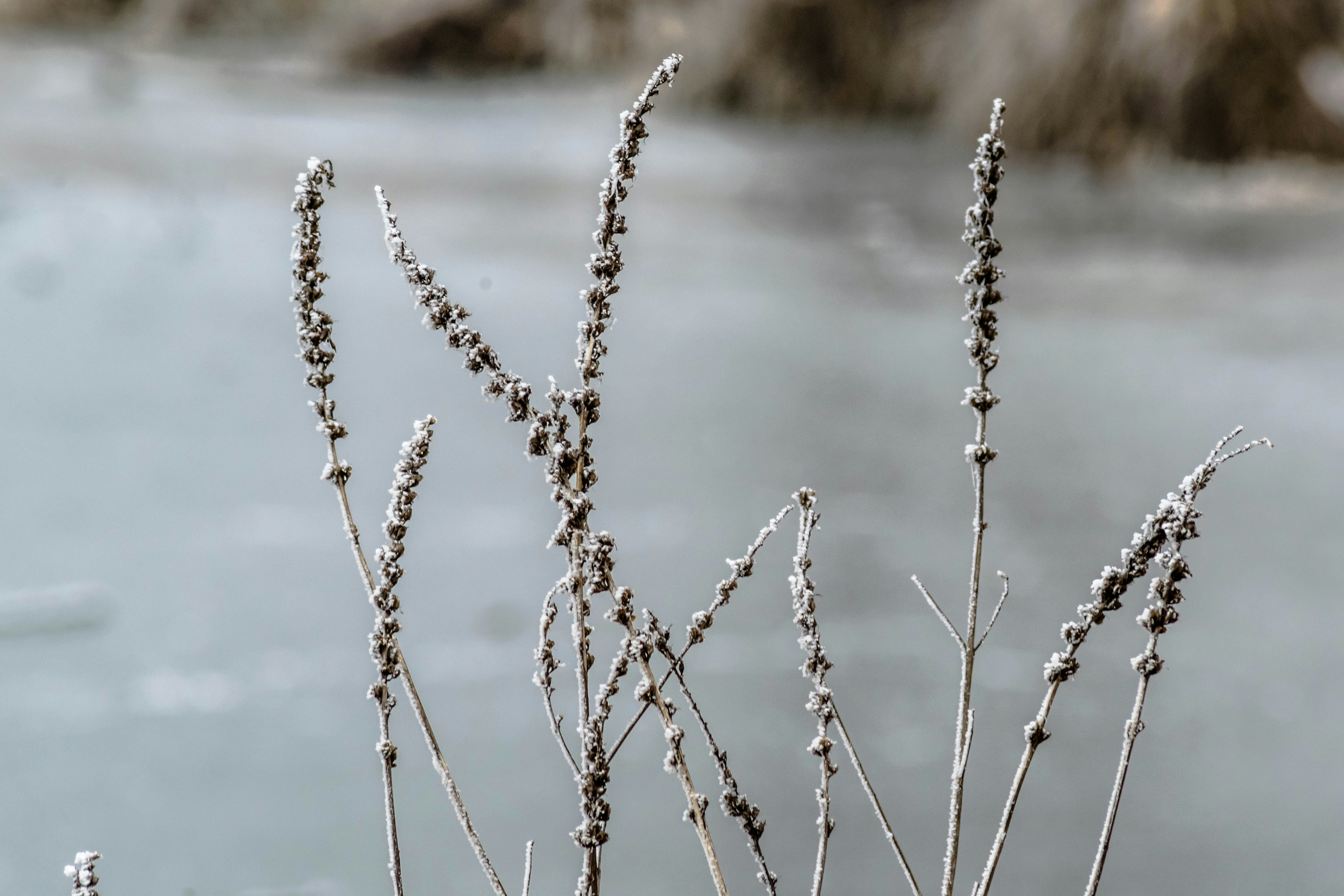 Free Unsplash photo from Matthieu Comoy