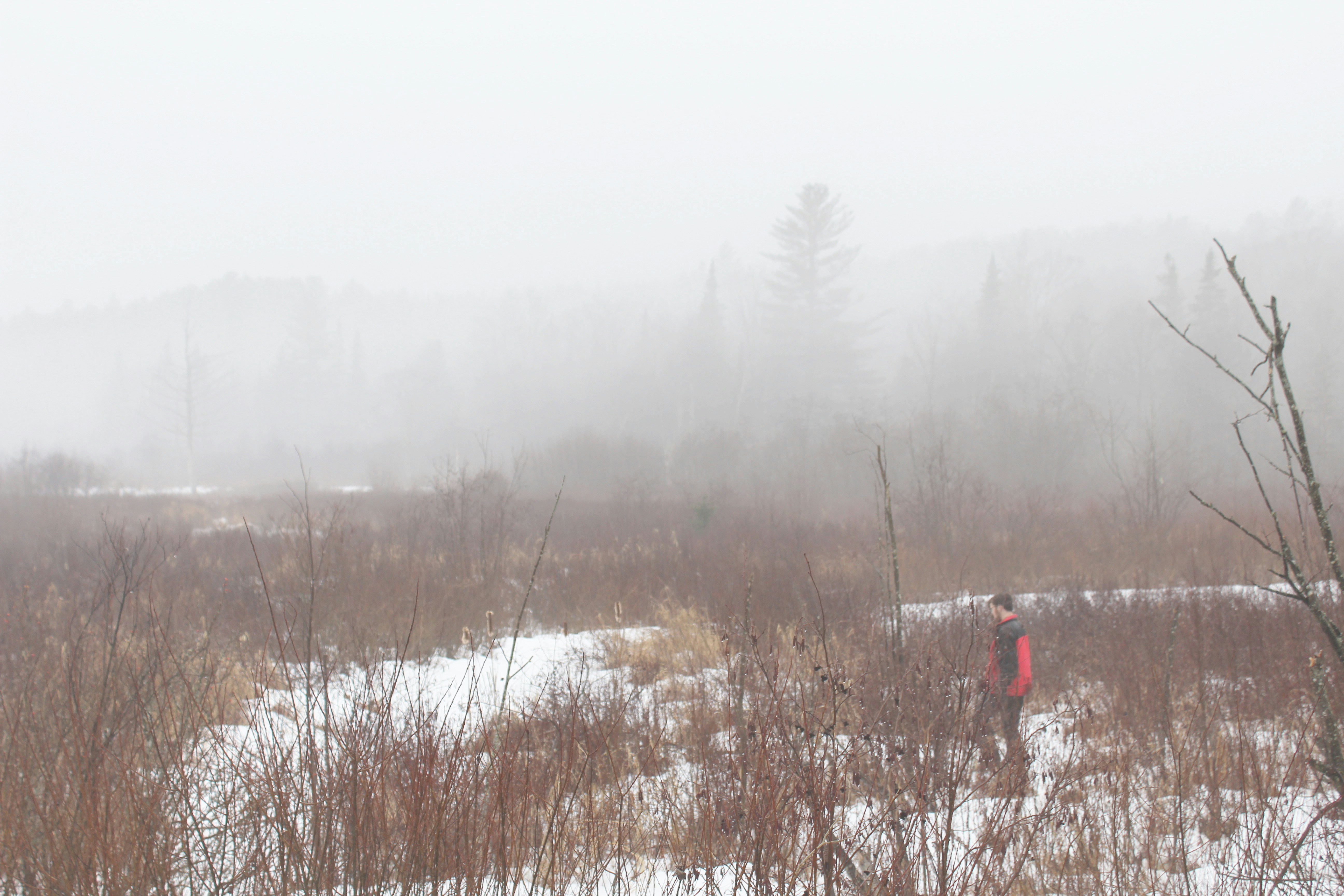 Free Unsplash photo from Jonathan Realmuto