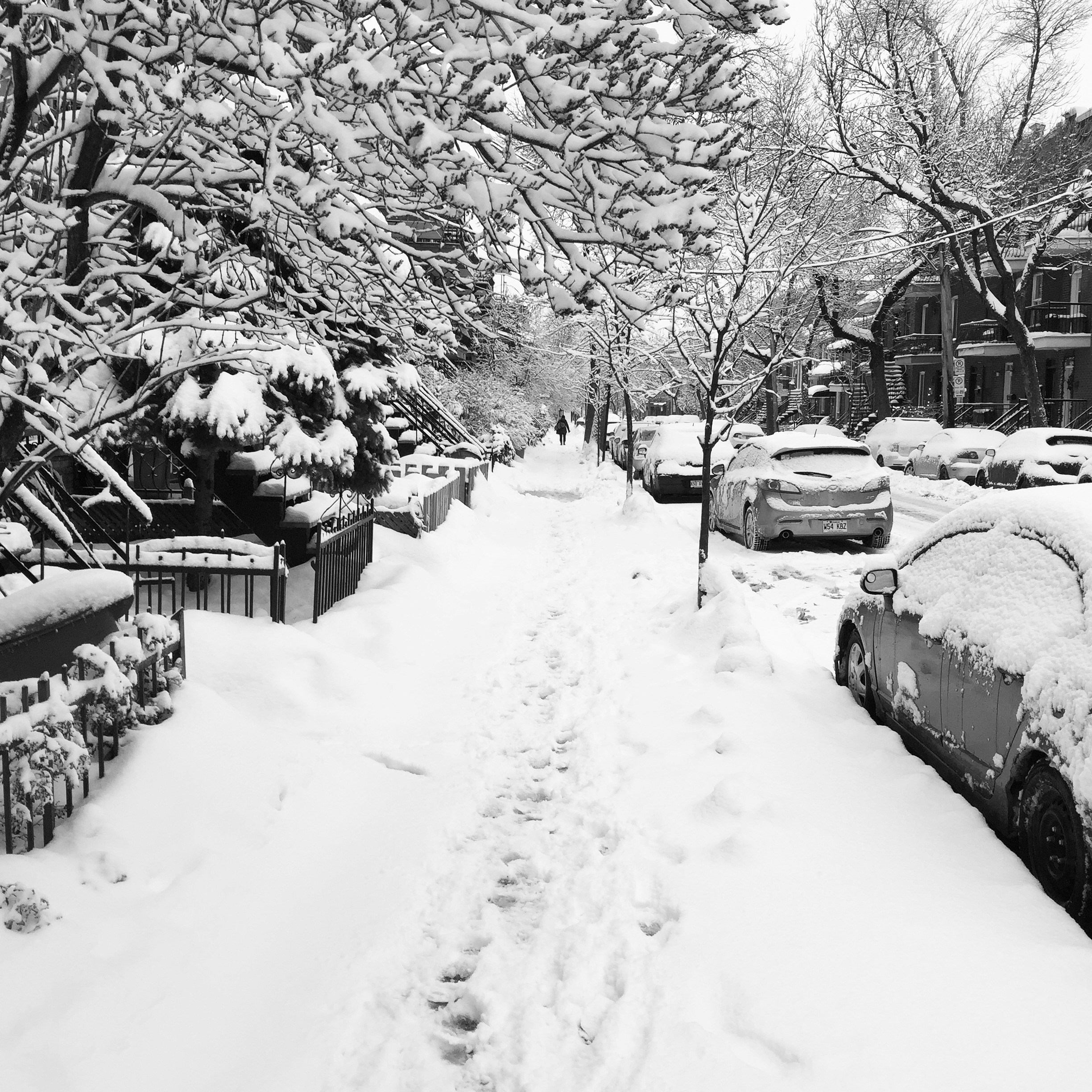 Free Unsplash photo from Hugues Belaib