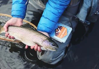 person holding gray and beige fish