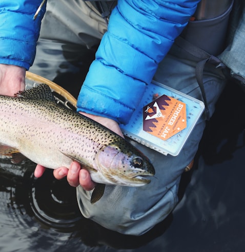 person holding gray and beige fish