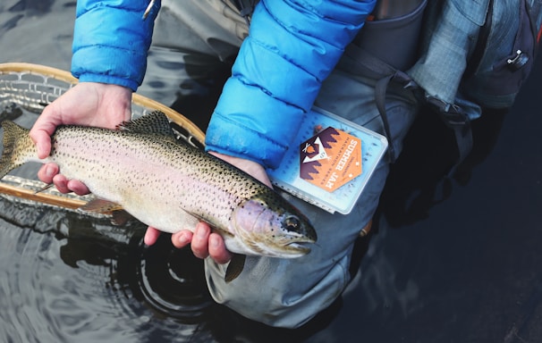 person holding gray and beige fish