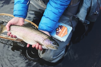 person evaluating a fish for certification