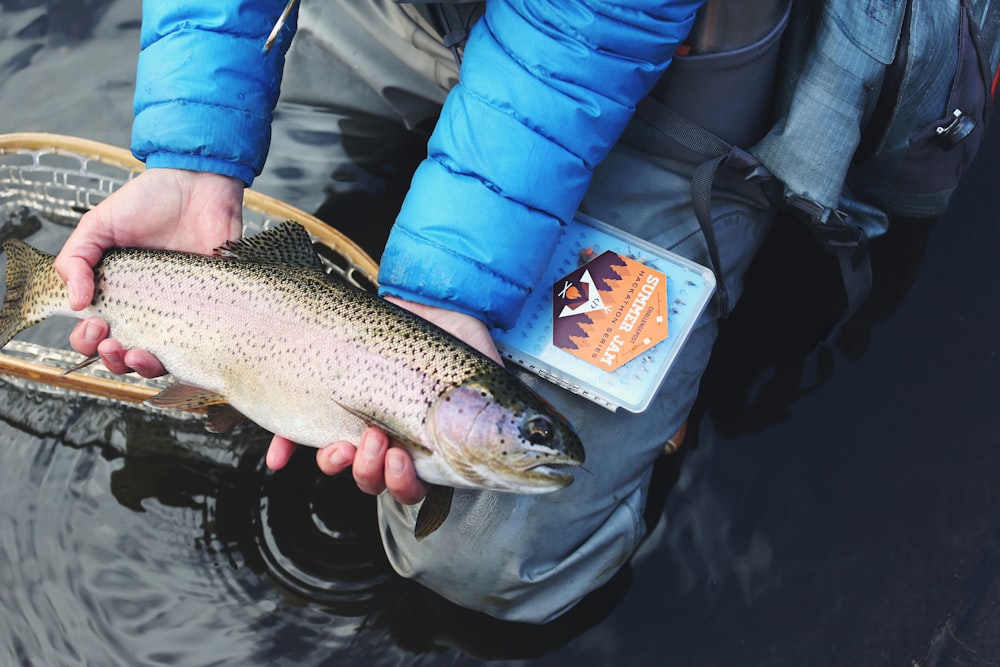 personne tenant un poisson gris et beige