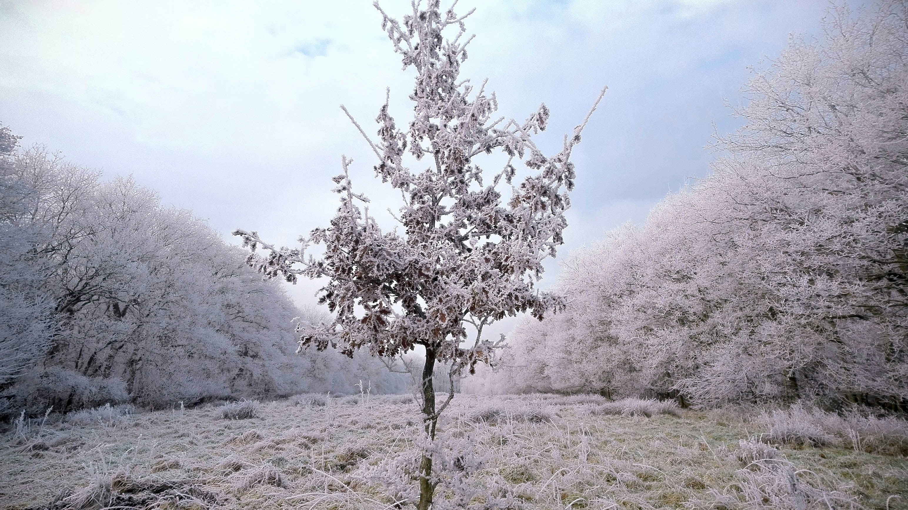 Free Unsplash photo from mark wielinga