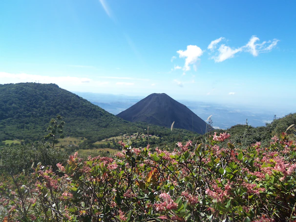 A scenic view of Mount Agung framed by vibrant tropical flowers.