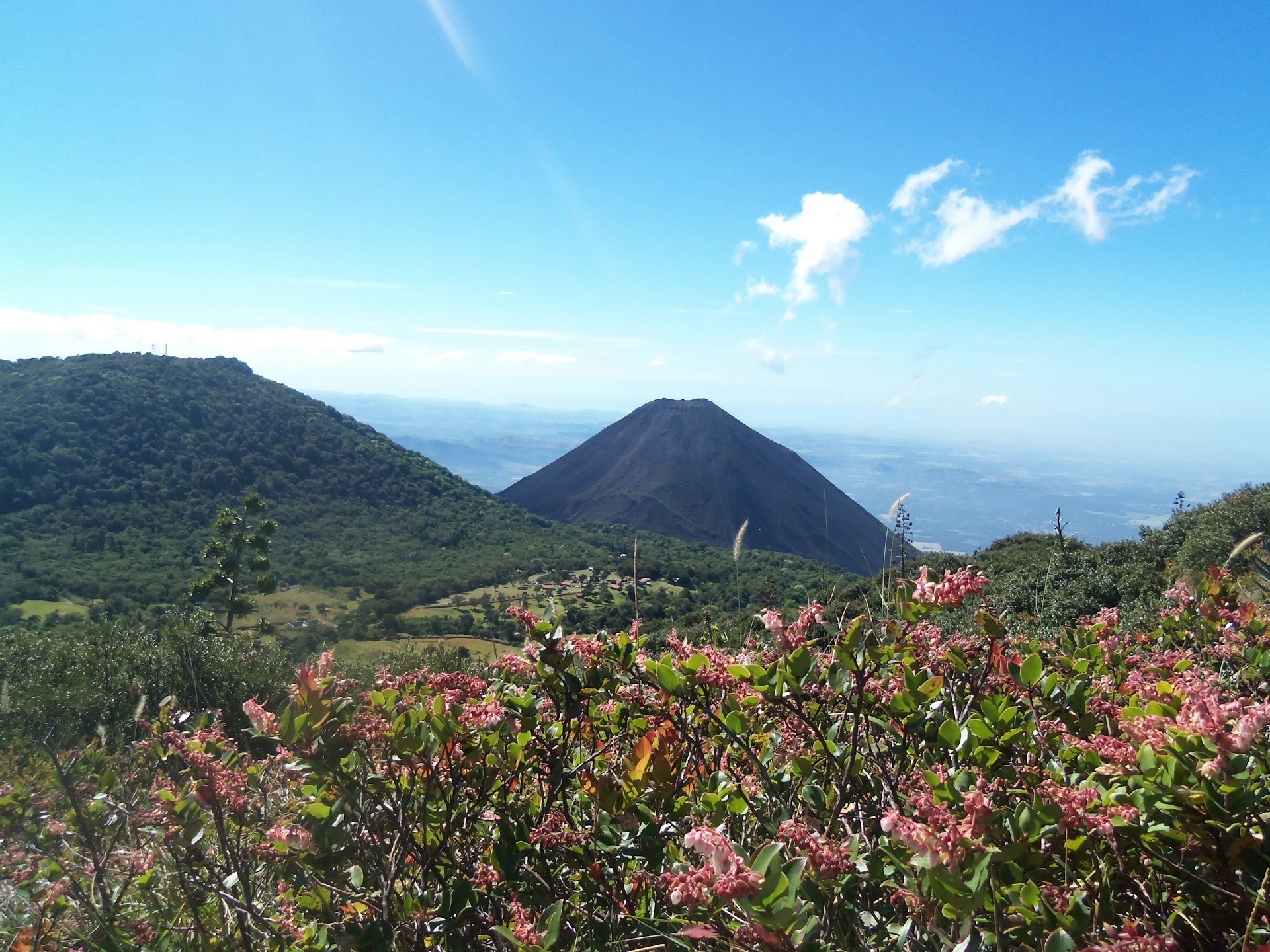 A vibrant view of a mountain trail near Fortuna, showing colorful flora and a distant volcano under a clear sky.