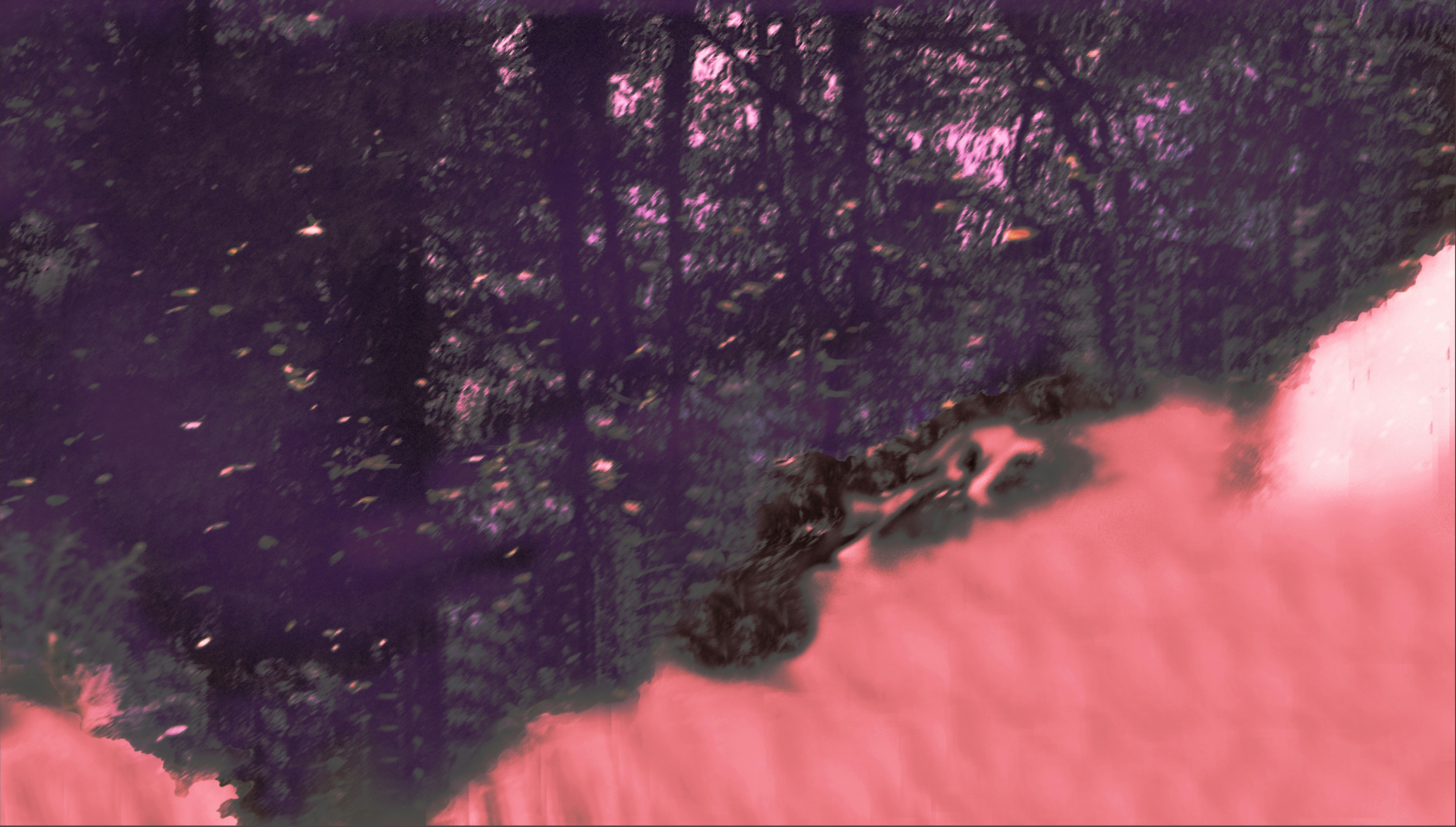 Free Unsplash photo from KRISHNA F GE