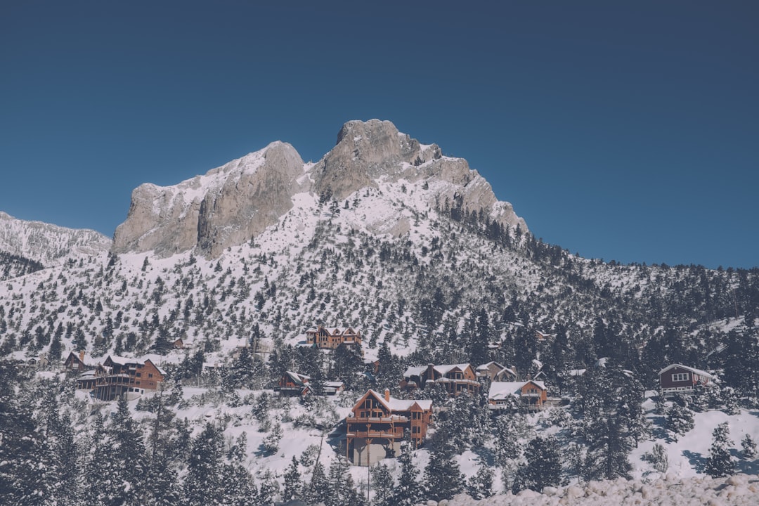 travelers stories about Hill station in Mount Charleston, United States