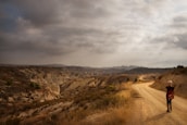 A lone traveler walks along a winding dirt path that stretches through a barren, rugged landscape under a cloudy sky. The ground is dry and rocky, with some scrubby vegetation dotting the path. The scene evokes a sense of isolation and adventure.