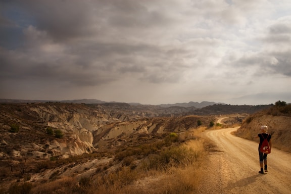 A lone traveler walks along a winding dirt path that stretches through a barren, rugged landscape under a cloudy sky. The ground is dry and rocky, with some scrubby vegetation dotting the path. The scene evokes a sense of isolation and adventure.