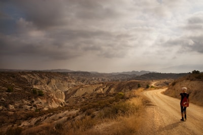 A lone traveler walks along a winding dirt path that stretches through a barren, rugged landscape under a cloudy sky. The ground is dry and rocky, with some scrubby vegetation dotting the path. The scene evokes a sense of isolation and adventure.
