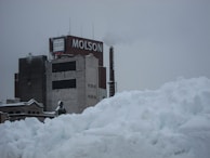 A large industrial building with a prominent chimney emitting smoke is located behind a massive accumulation of snow. The building features the word 'MOLSON' in large letters on an upper section, and additional text on a smaller sign. The sky is overcast, creating a subdued and cold atmosphere.