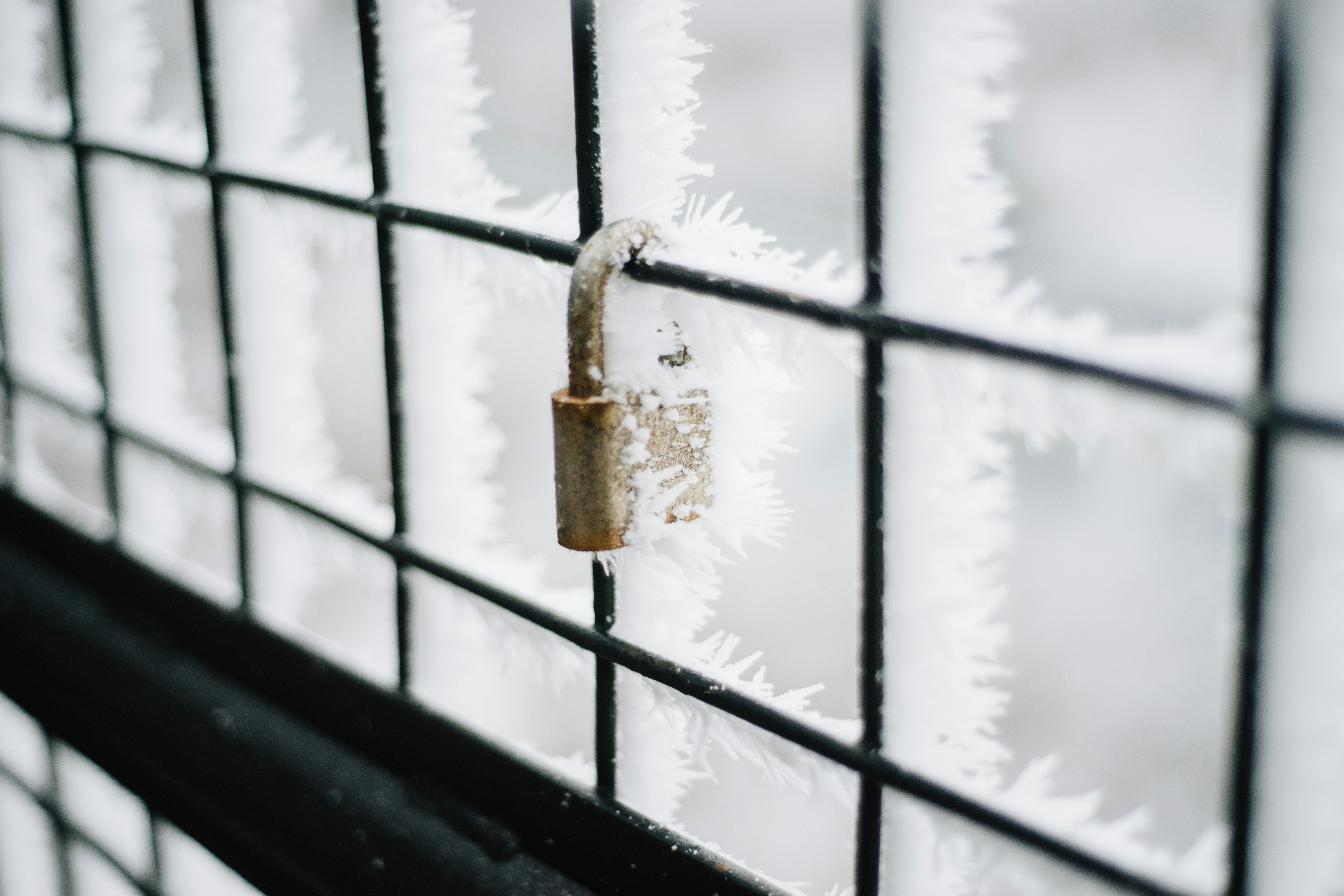 Free Unsplash photo from Shane Hauser