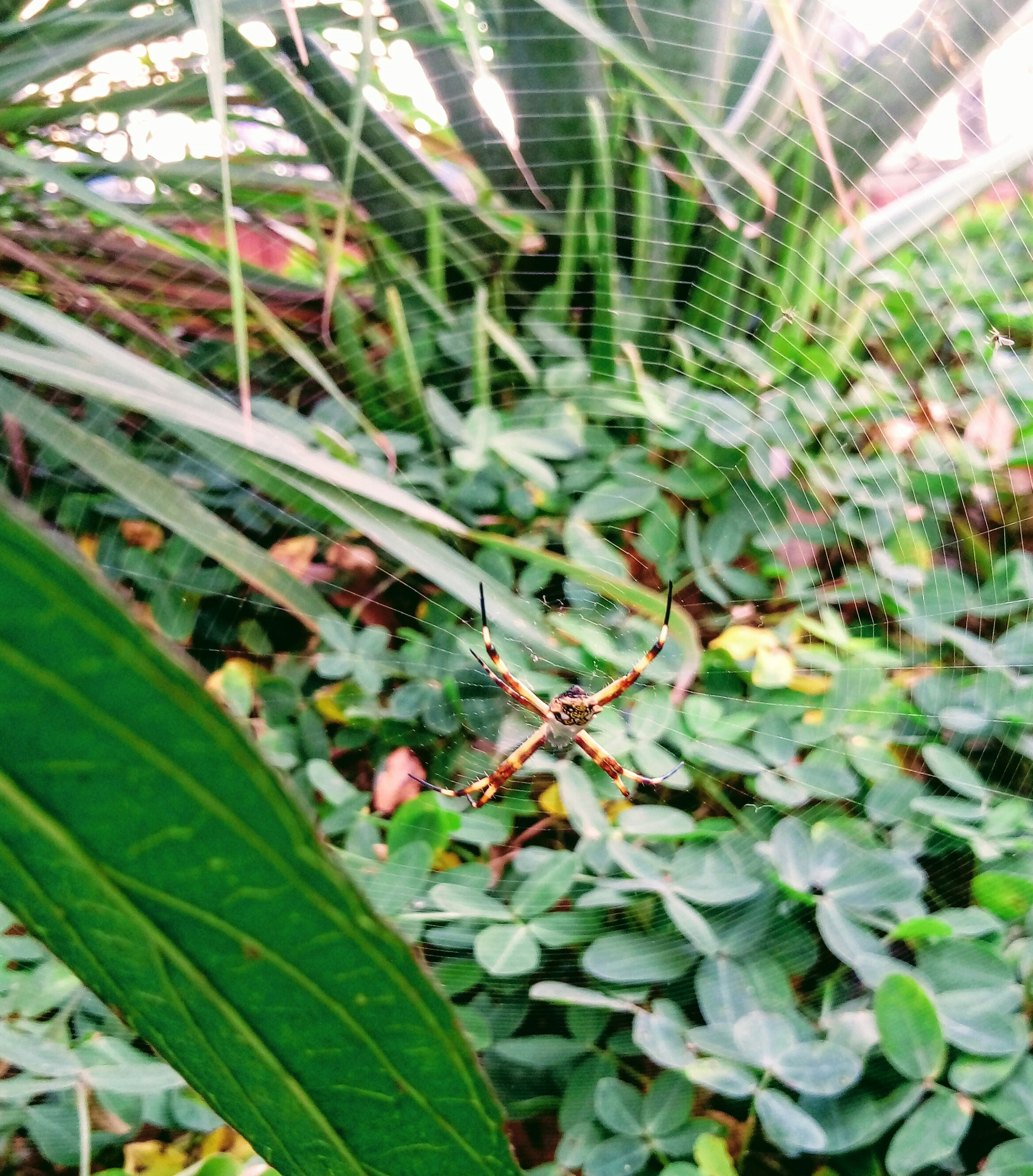 Free Unsplash photo from Jose Lopez