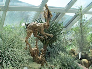 A wooden sculpture resembling a leaping animal is situated in a greenhouse setting filled with various types of spiky plants and cactus. The geometric glass ceiling allows natural light to illuminate the intricate details of the wood structure and lush greenery.