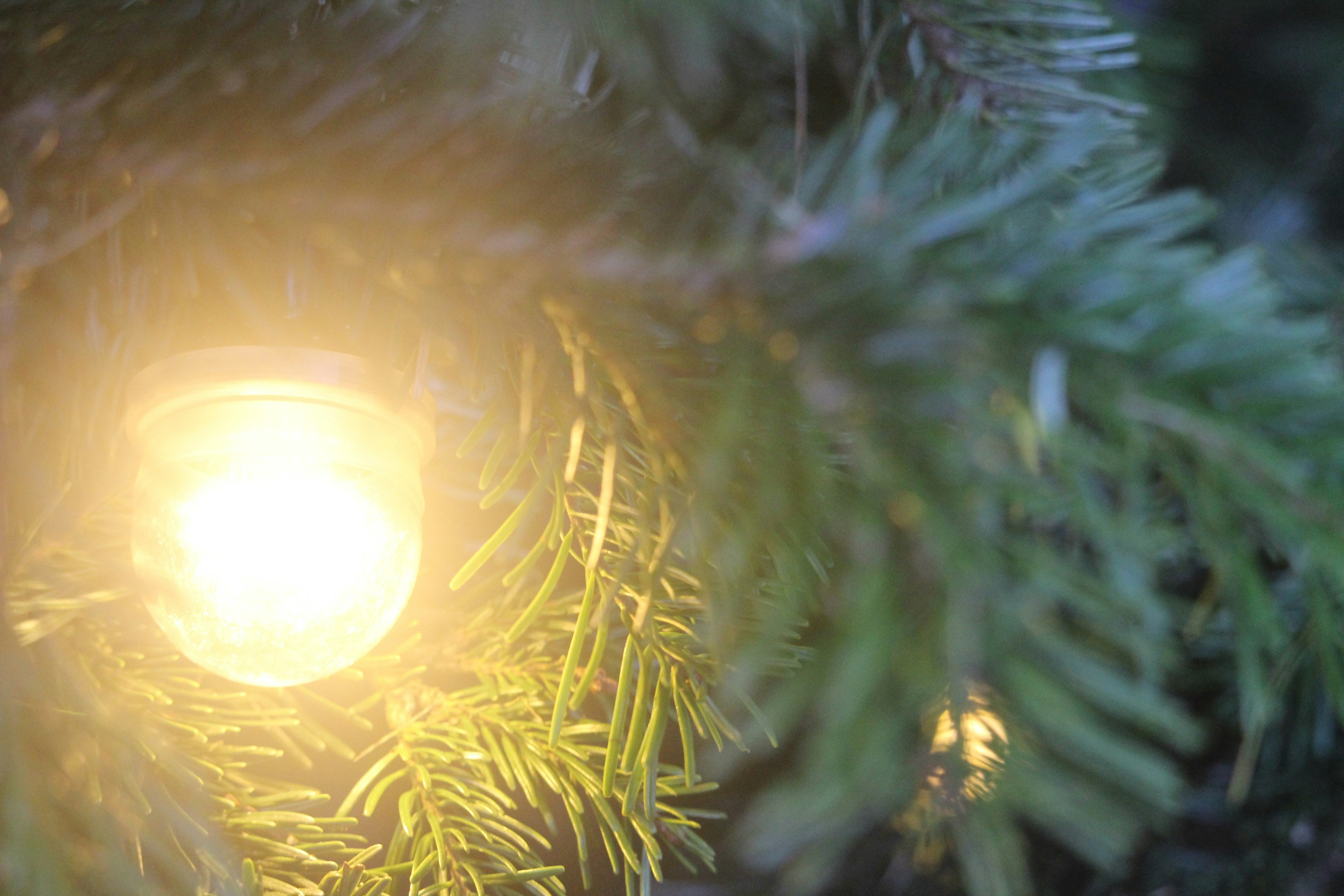 Free Unsplash photo from Jos Bakker