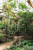 A lush indoor garden with a variety of plants, including hanging baskets and tropical greenery. The path is lined with ferns and other foliage, and there is a wooden railing. Sunlight filters through the glass ceiling, creating a warm, inviting atmosphere.