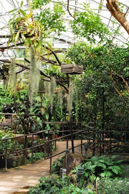 A lush indoor garden with a variety of plants, including hanging baskets and tropical greenery. The path is lined with ferns and other foliage, and there is a wooden railing. Sunlight filters through the glass ceiling, creating a warm, inviting atmosphere.