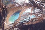 Sunlight filtering through palm leaves onto a serene yoga mat by the ocean.