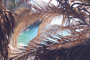 Sunlight filtering through palm leaves onto a serene yoga mat by the ocean.