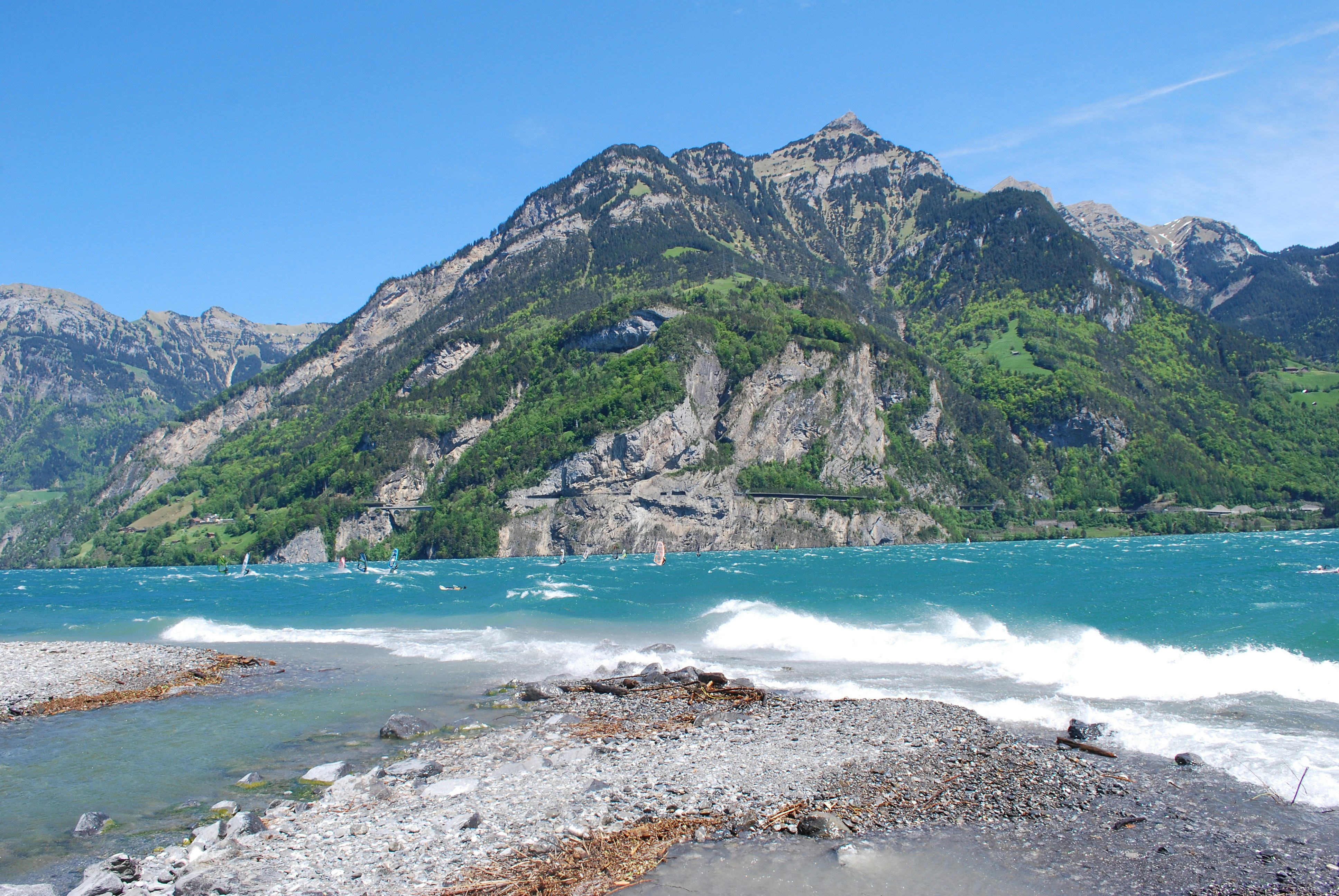 Free Unsplash photo from Marcela Narváez