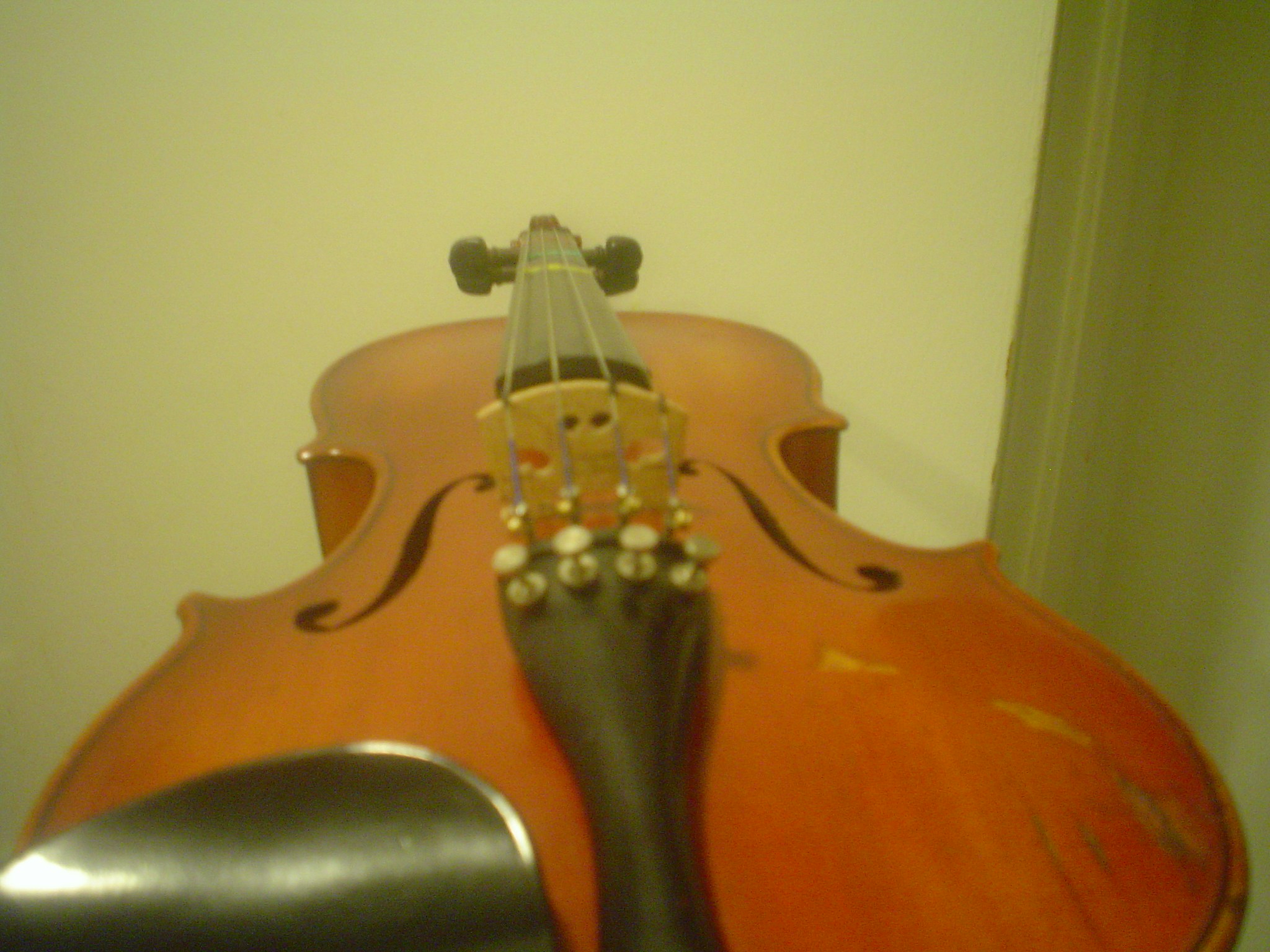 Free Unsplash photo from Nava Fischman - Charry