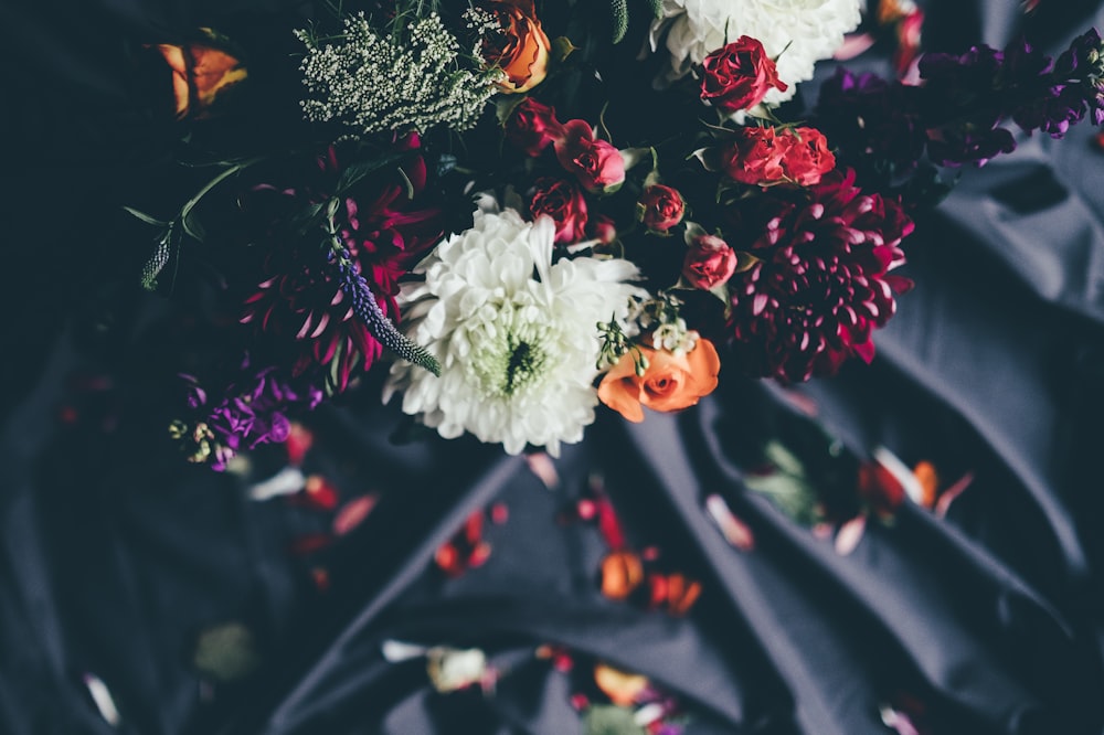 focus photo of red, white, and yellow petaled flowers