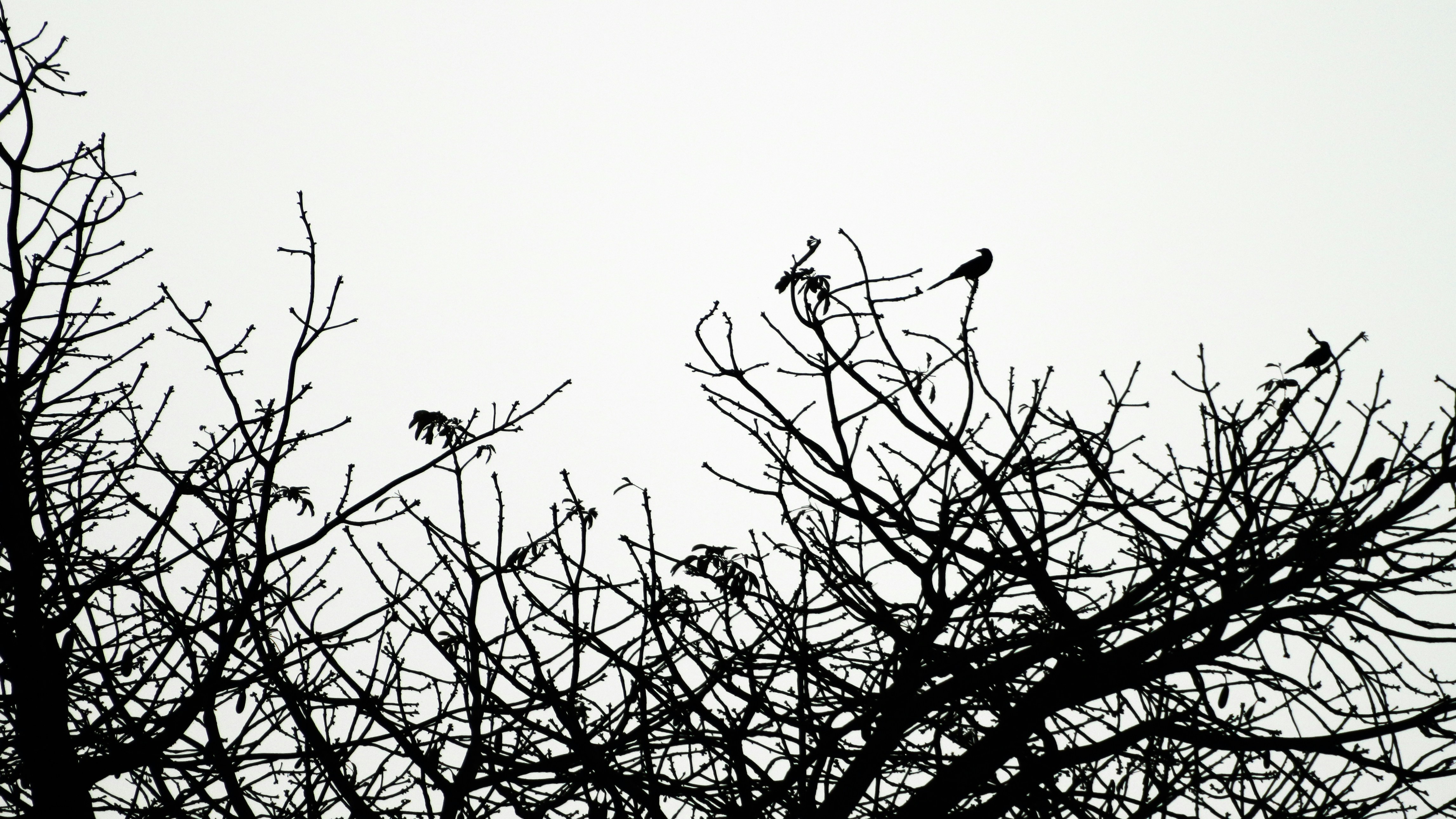 Free Unsplash photo from Carlos Rejon