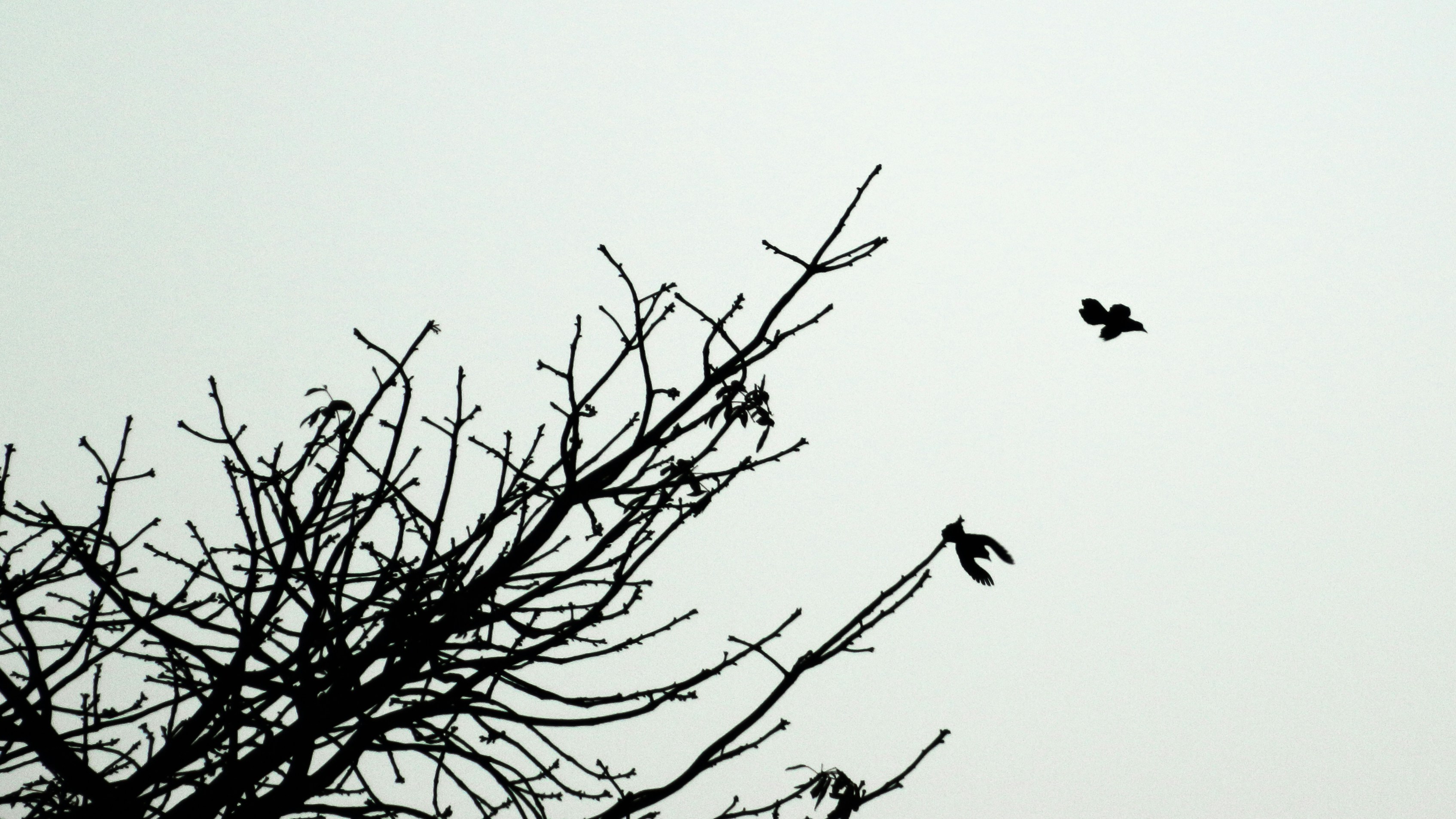 Free Unsplash photo from Carlos Rejon