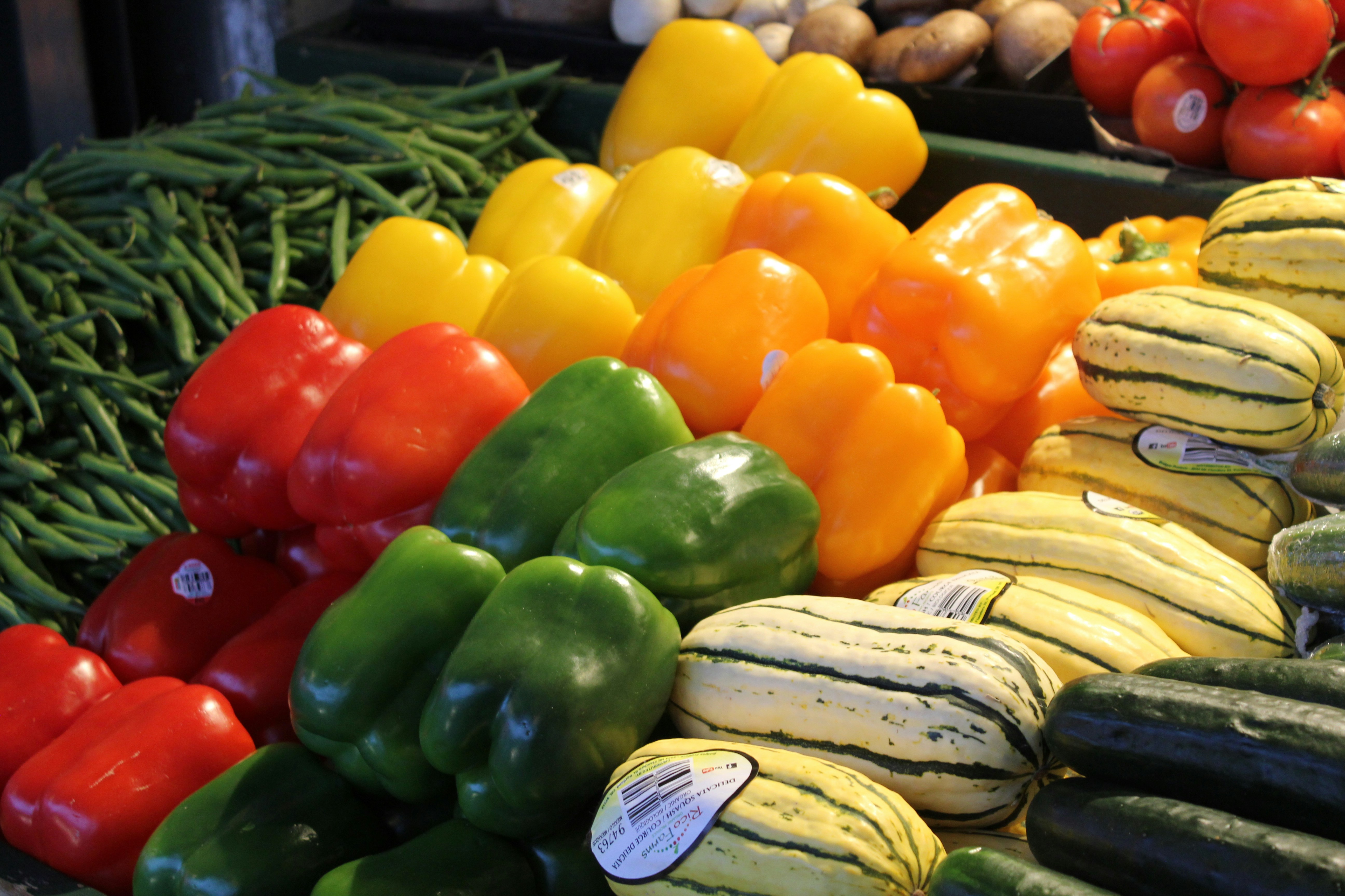 Free Unsplash photo from Laura Catarineau